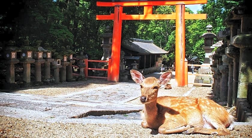 SLOW HOUSE NARA
