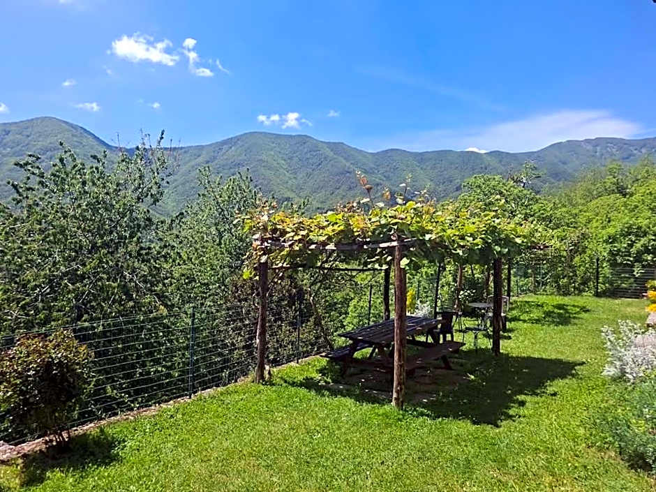 Albergo Ristorante La Selva