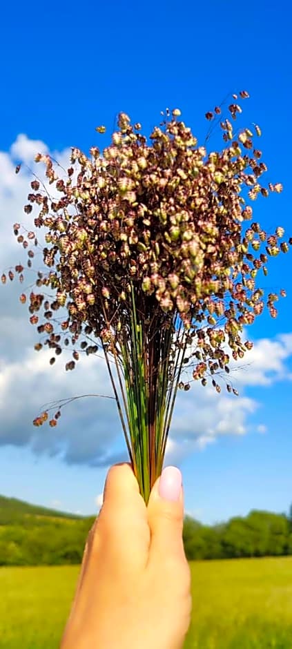 Domek kampingowy letniskowy Zdrój