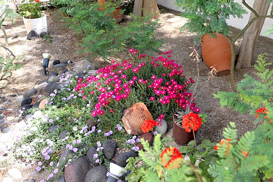 SPIROS & HIROKO Hotel - ADULTS ONLY