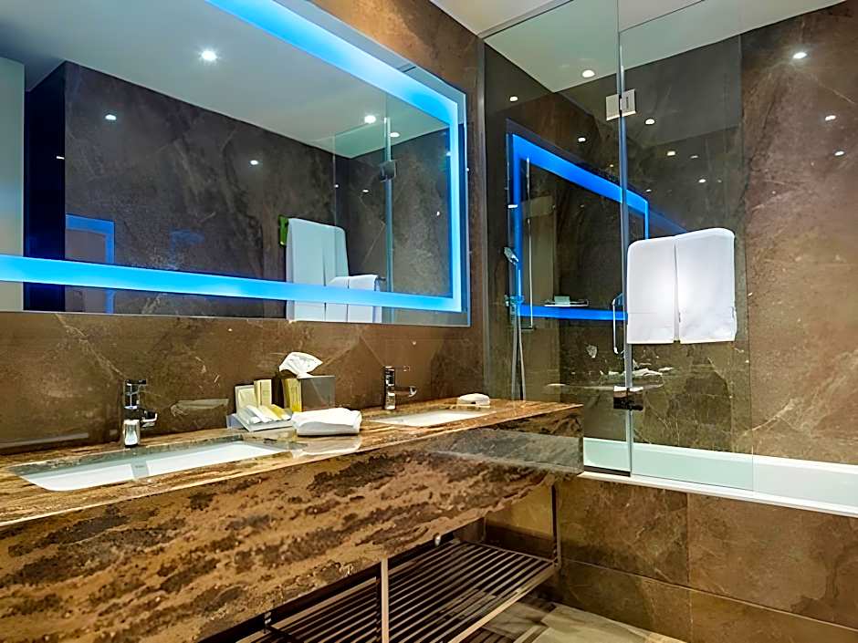 Hilton Garden Inn Istanbul Airport