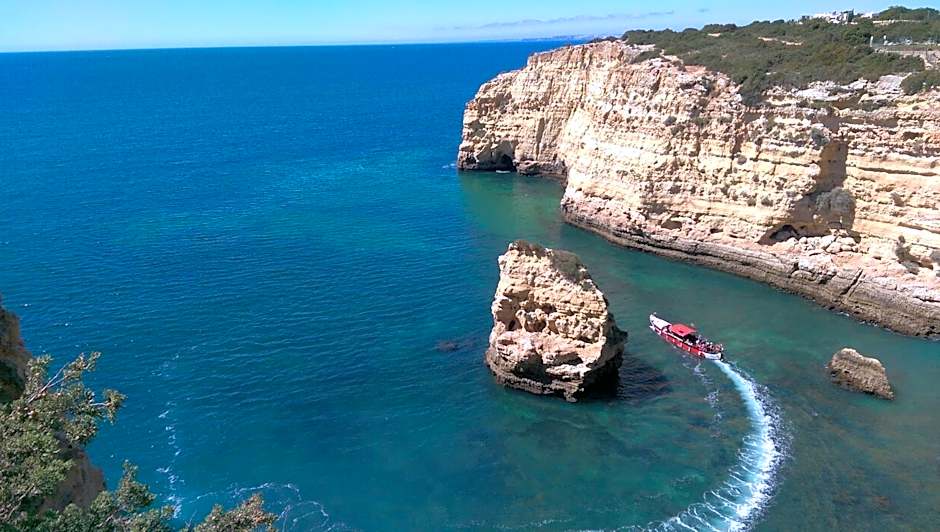 Pestana Palm Gardens