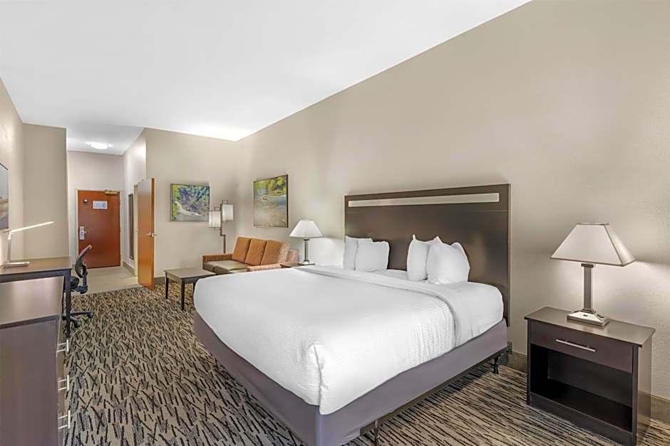 Best Western Plus McDonough Inn & Suites