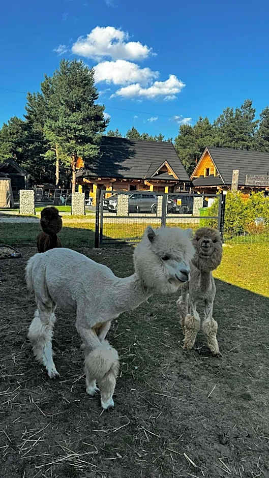 Ośrodek u Polaka-domek góralski