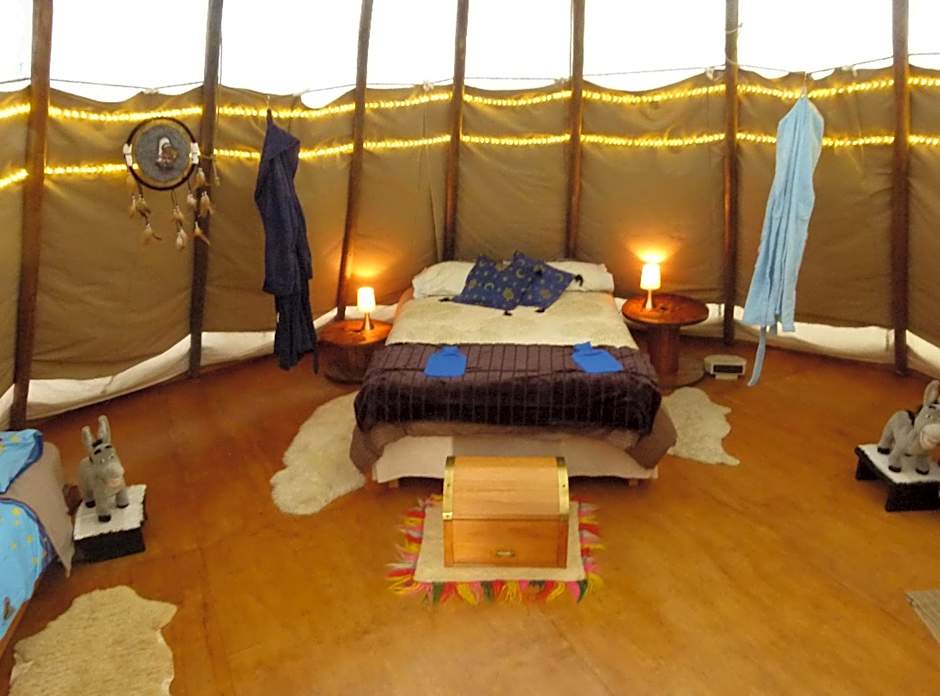 Wacky Stays - unique farm-stay glamping rentals, FREE animal feeding tours