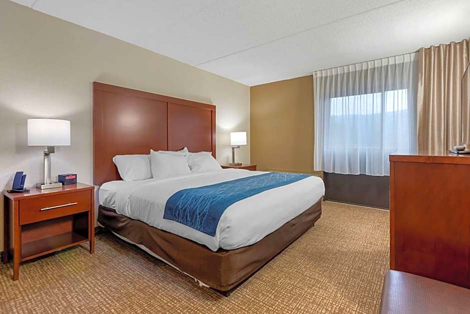 Comfort Inn Binghamton I-81