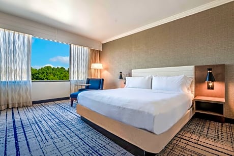 Two-Room Suite with One King Bed and Sofa Bed
