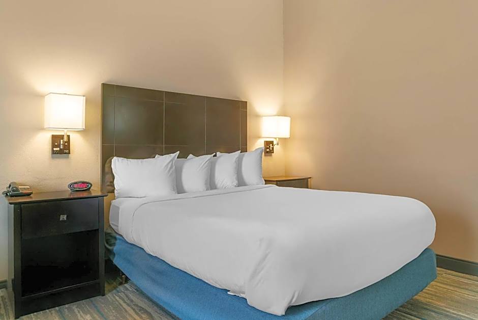 Comfort Inn & Suites Toledo North