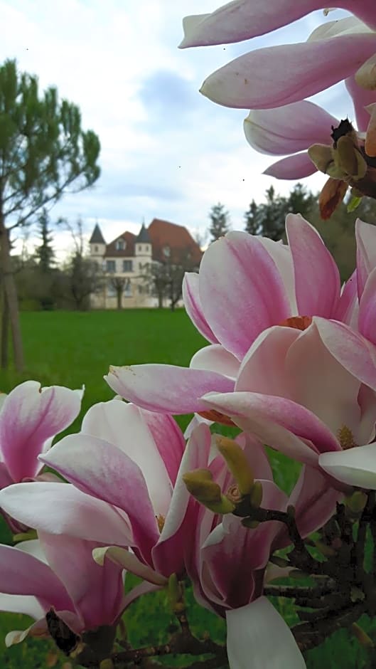 Château De Werde