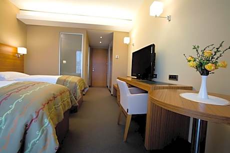 Special Offer - Deluxe Double or Twin Room with New Year's Package
