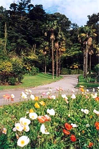 Wallaceville Motor Lodge