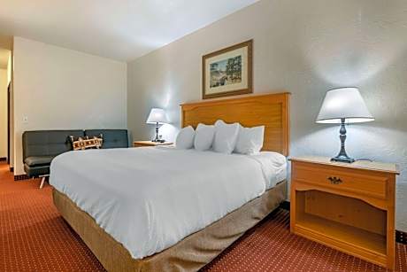 1 KING BED,MOBILITY ACCESSIBLE,ROLL IN SHOWER,NSMK,CONTINENTAL BREAKFAST