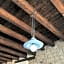 Il Mulino di Amleto - Bed and Breakfast letterario