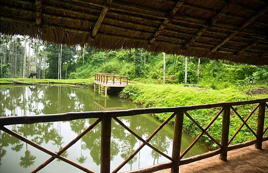 After the Rains - Rainforest Lodge