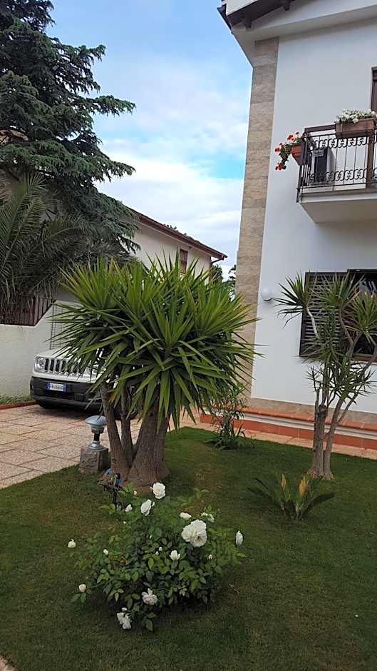 Sole D'oro IUN S4354