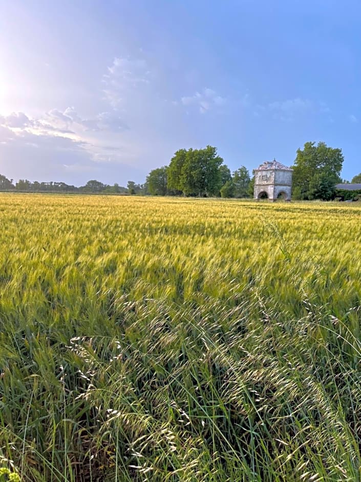 Suite à la Villa Cattus