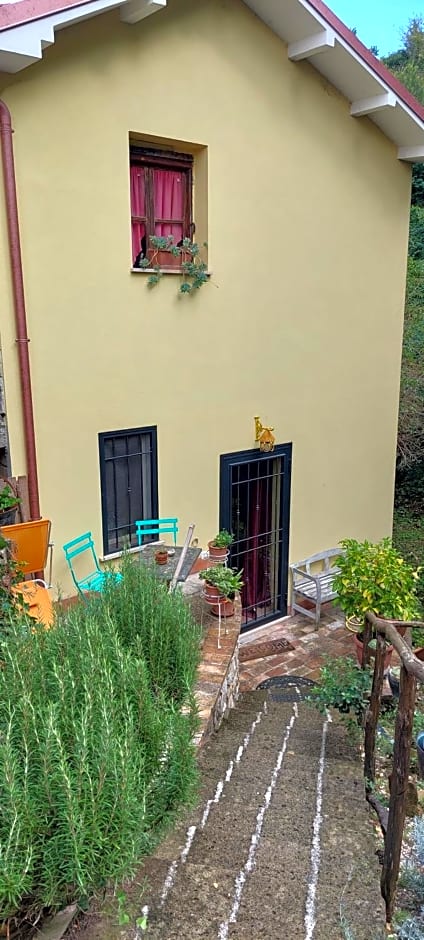 Monte degli Elci b&b