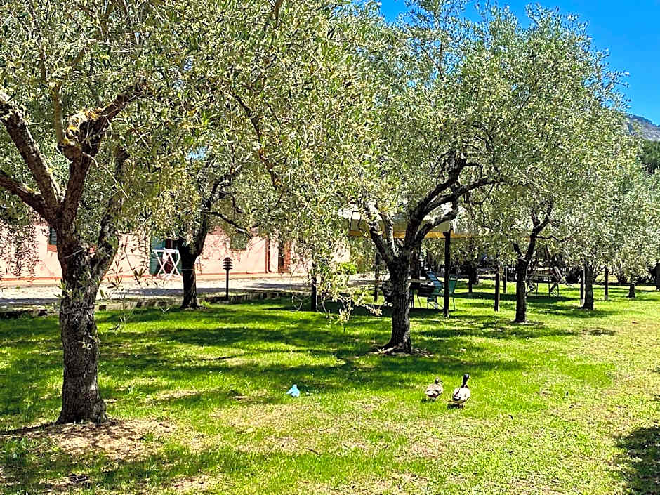 RESIDENCE TERME ISOLA D'ELBA SRL