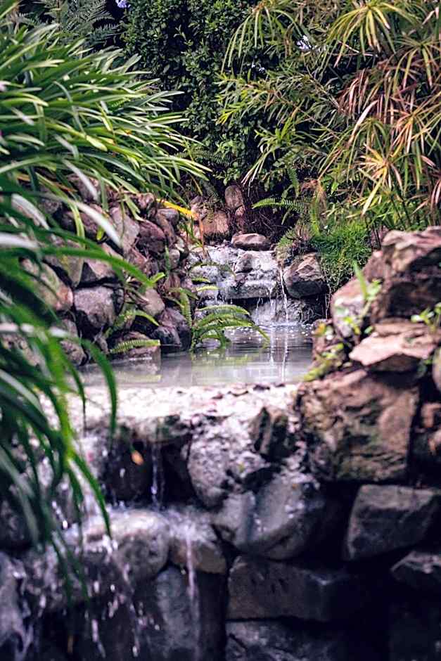 Hotel Rancho Constanza