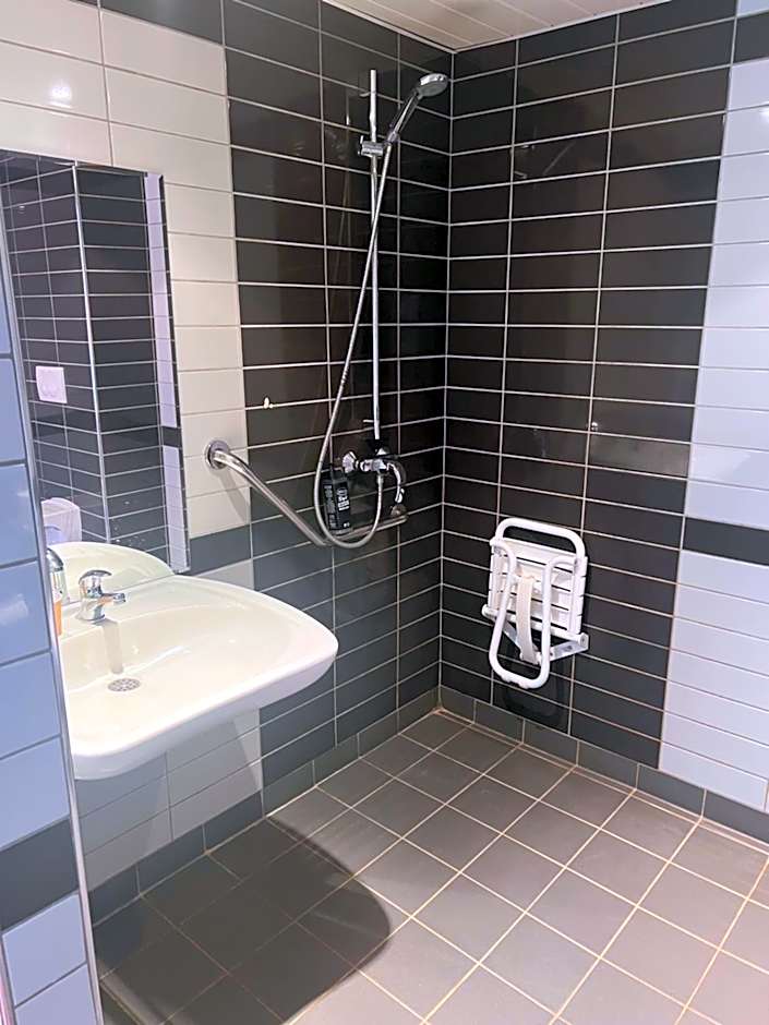 Ibis Budget Roanne Hotel
