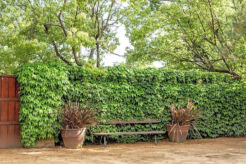 Seven Branches Venue and Inn