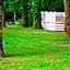 Forest Haven