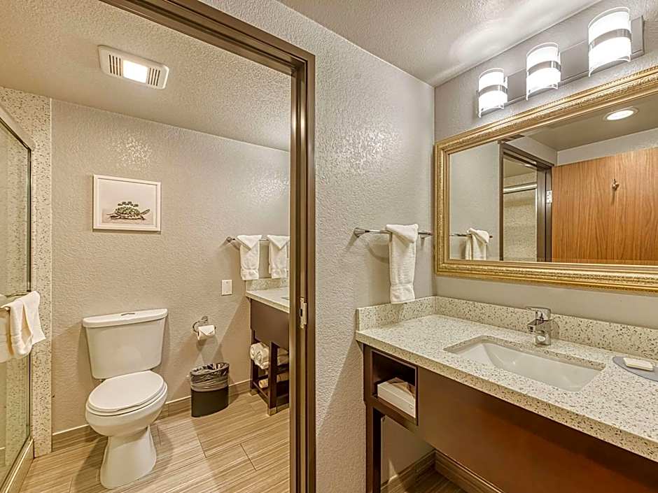 Amanzi Hotel, Ascend Hotel Collection