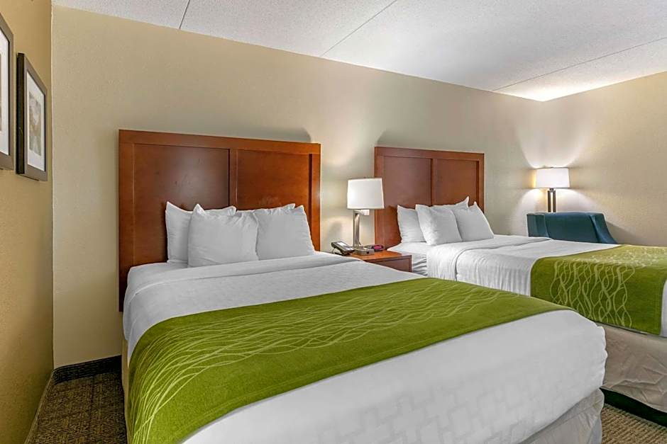 Comfort Inn Downtown Lookout Mountain Chattanooga