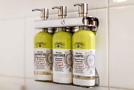 1 King Suite Sofa Bed