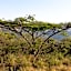 Hilton Bush Lodge & Function Venue