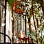 Kapok Bacalar - Plant Based Hotel