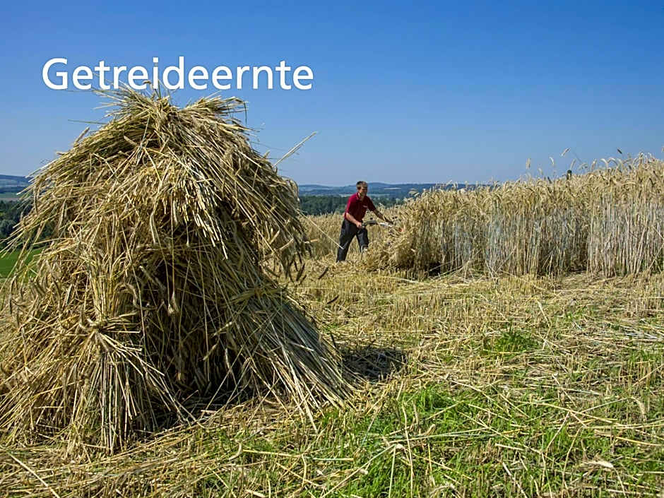 Kartause Ittingen