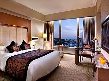 Superior King Room with City View