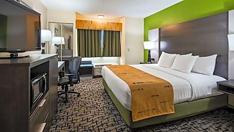 King Room with Roll-In Shower - Disability Access