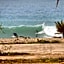 Manzili Surfhouse