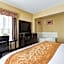 Comfort Suites Lake Ray Hubbard