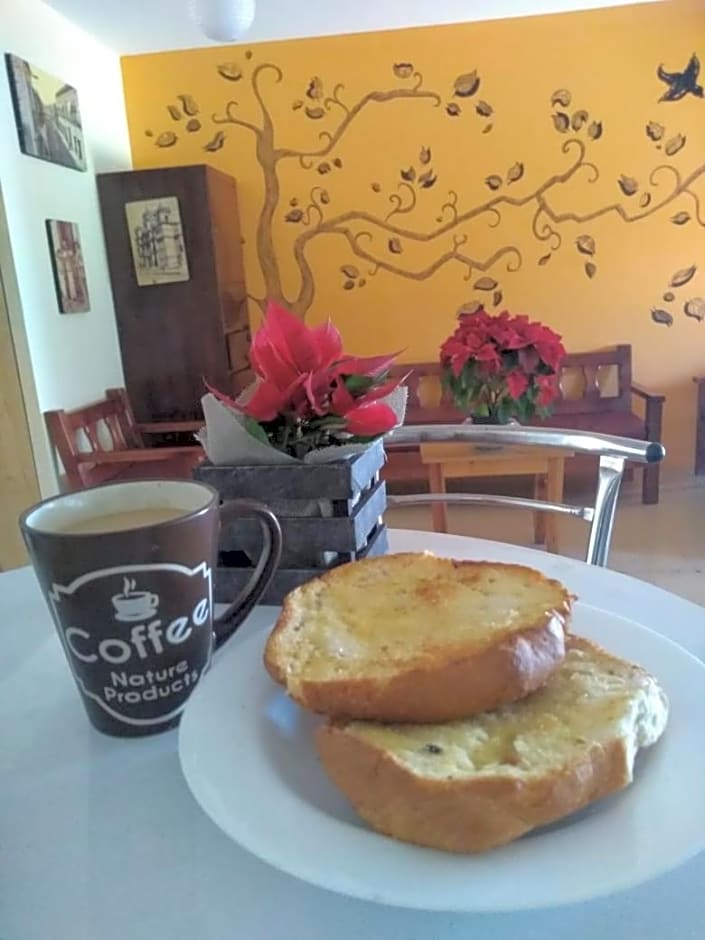 Los Nardos Hostel