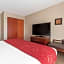 Comfort Suites Downtown Sacramento