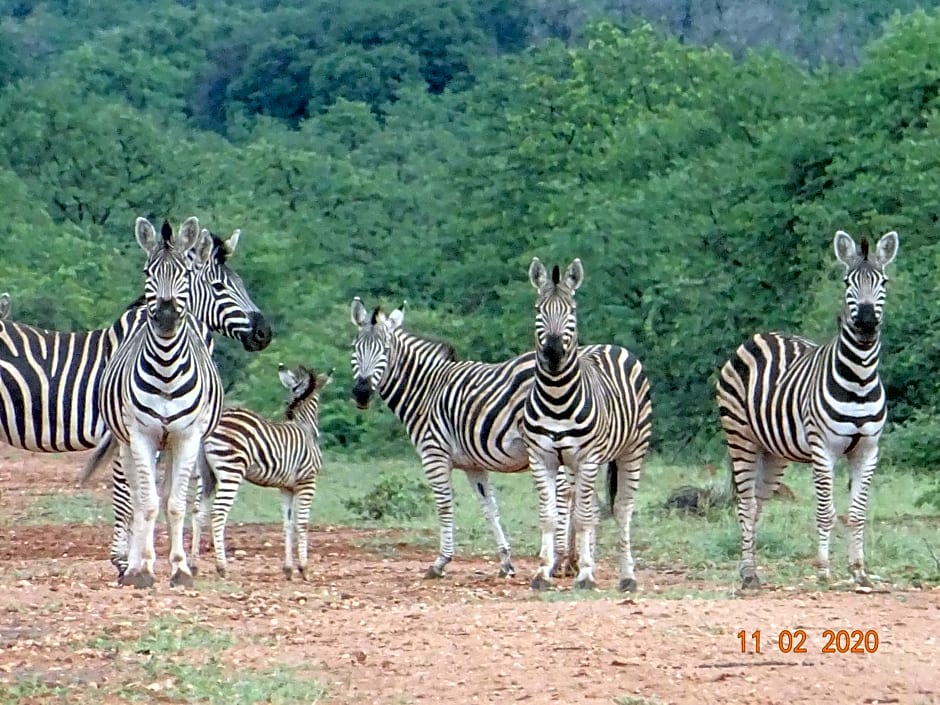 Limpokwena Nature Reserve
