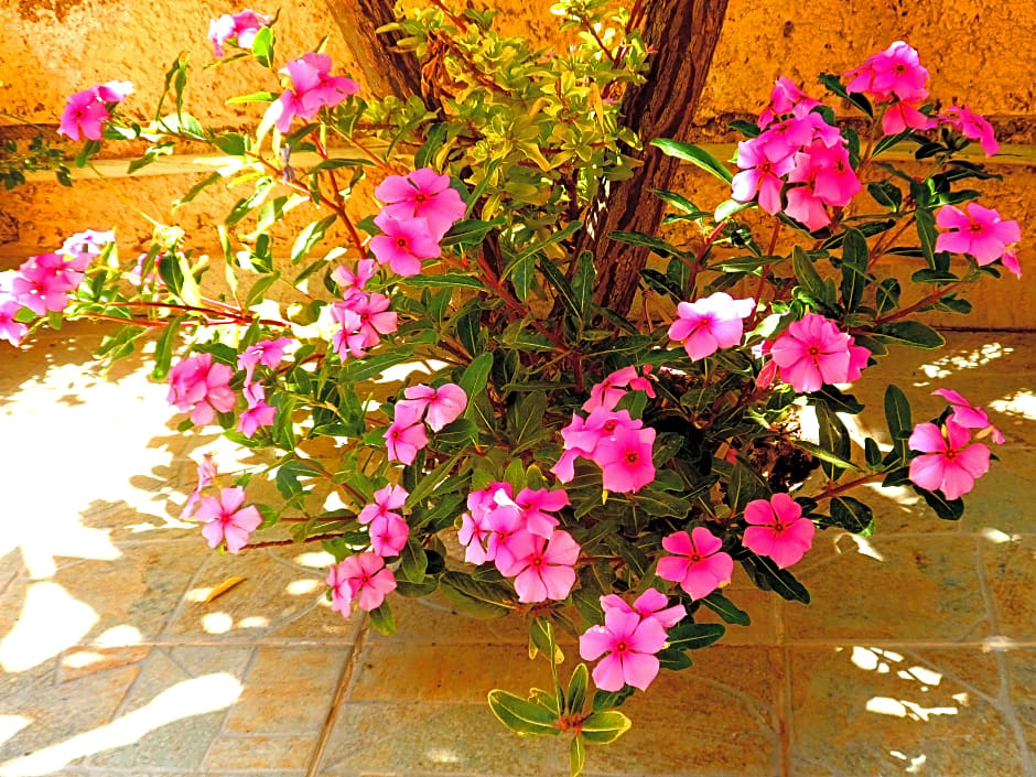 Papafotis Apartments & Suites