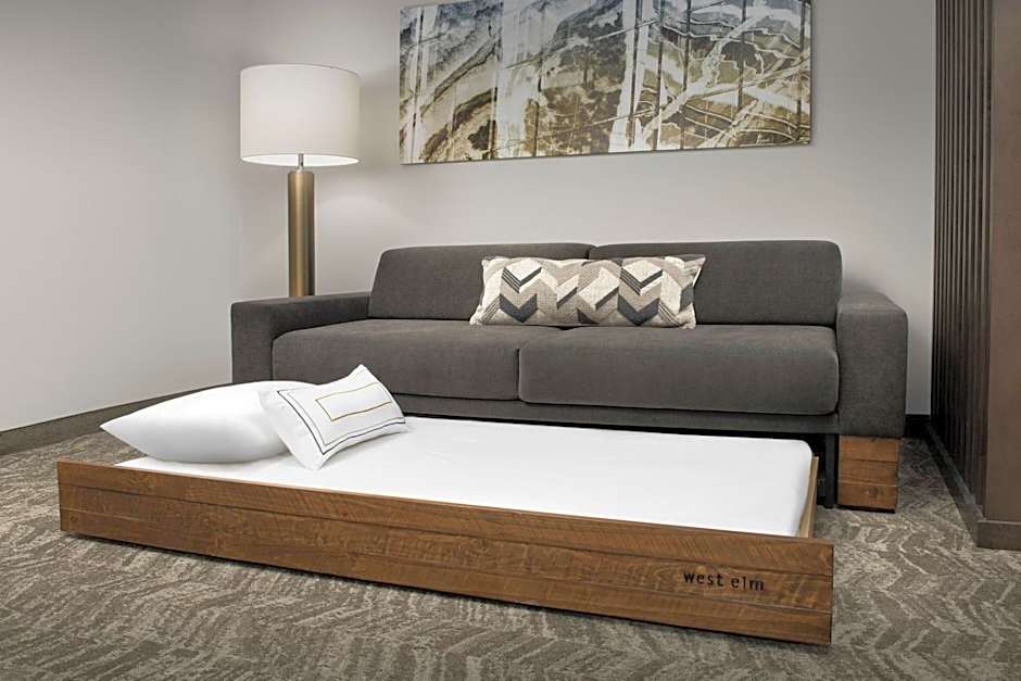 SpringHill Suites by Marriott Atlanta Perimeter Center