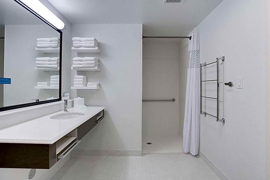 Hampton Inn By Hilton & Suites North Houston Spring