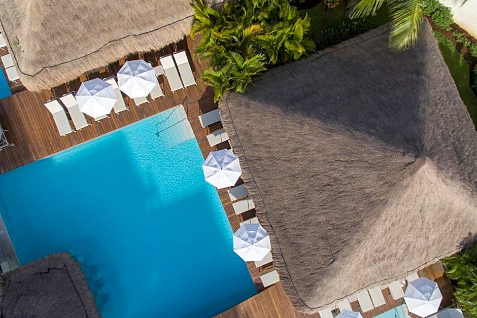 Privilege Aluxes Adults Only