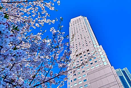 Cerulean Tower Tokyu Hotel
