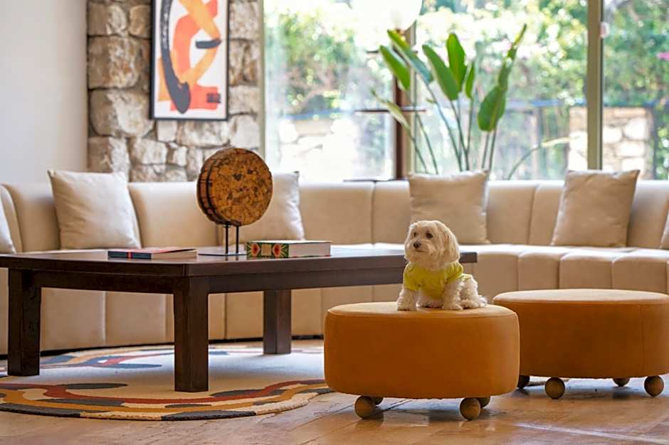 Marti La Perla - Adult Only+16