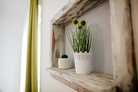 Bed in 8-Bed Mixed Dormitory Room