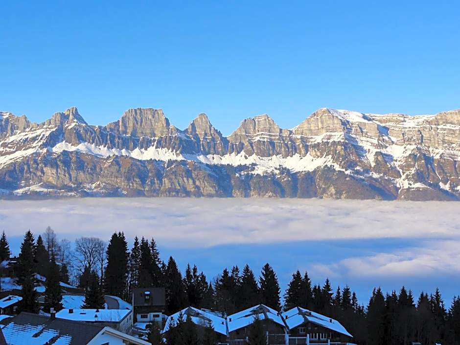 Hotel Tannenboden - Steinbock