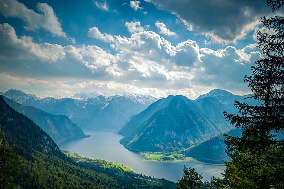 Metzgerwirt Vieh Heli