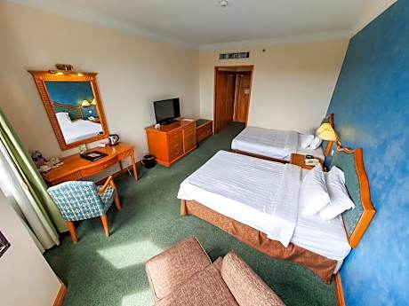 Superior Twin Room - Non-Smoking