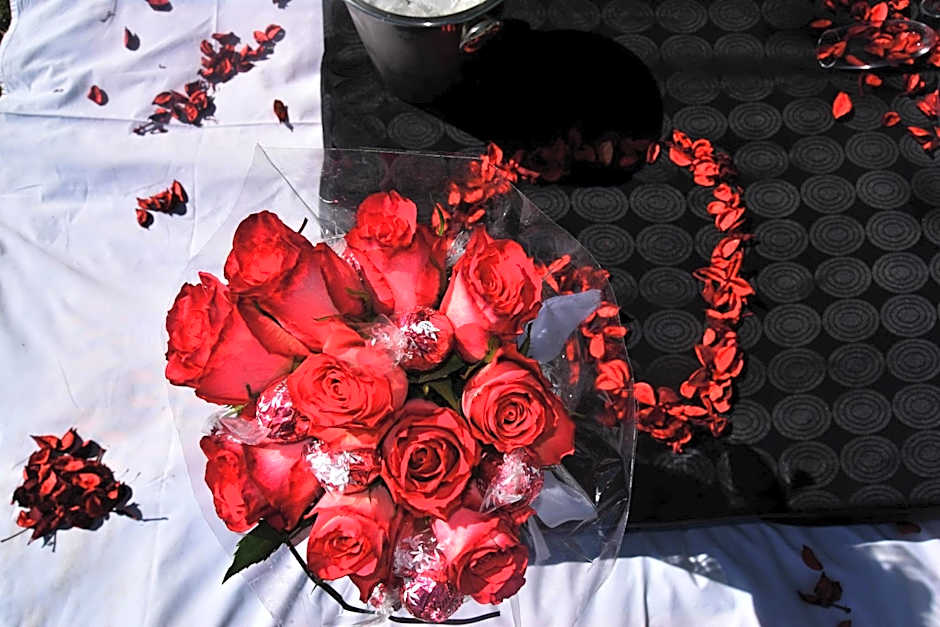 Grey Goose Game Lodge